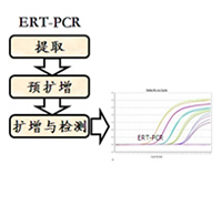 ERT-PCR_于常海教授